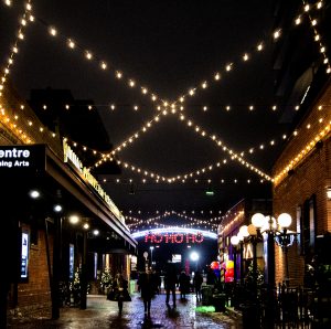 The Young Centre in Toronto's Distillery District is home to all types of theatre productions.